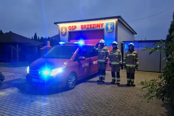 Hołd dla strażaków z Niska — OSP Brzeziny Puchaczów oddała cześć poległym