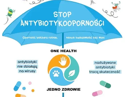 Europejski Dzień Wiedzy o Antybiotykach 2026 – sprawdź, jak chronić zdrowie